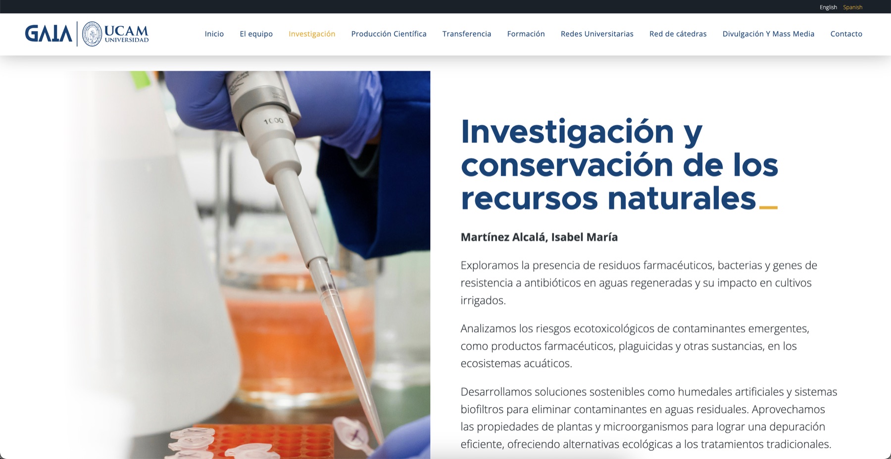 Diseño web a medida en Panamá | Nómadas Comunicación Creativa