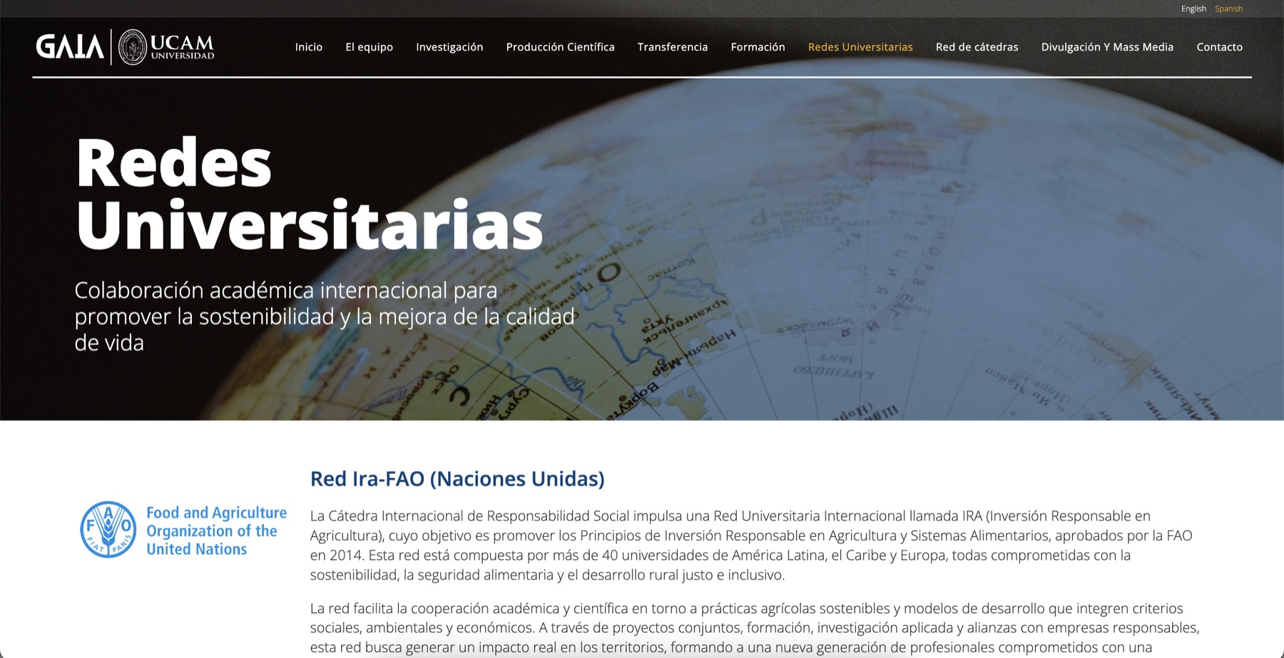 Agencia diseño web profesional en Madrid y Murcia | Nómadas Comunicación Creativa