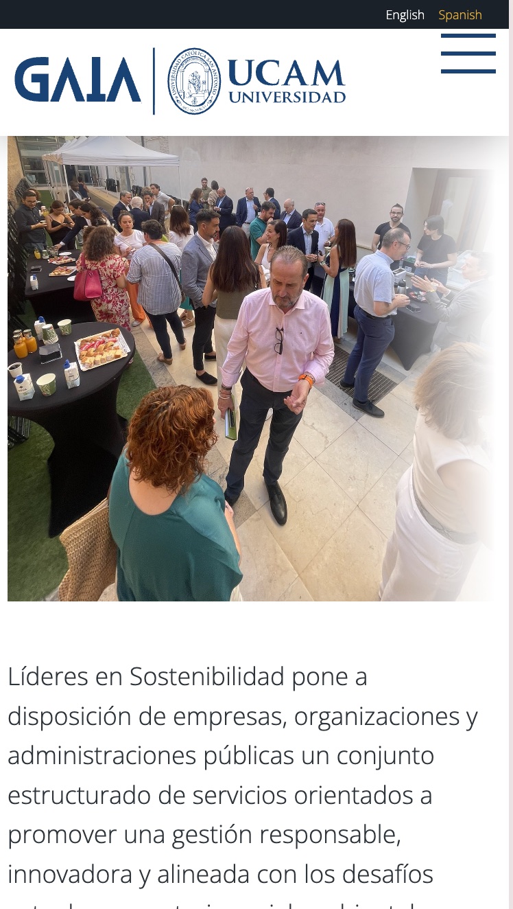 Estudio de Diseño web a medida en Valencia