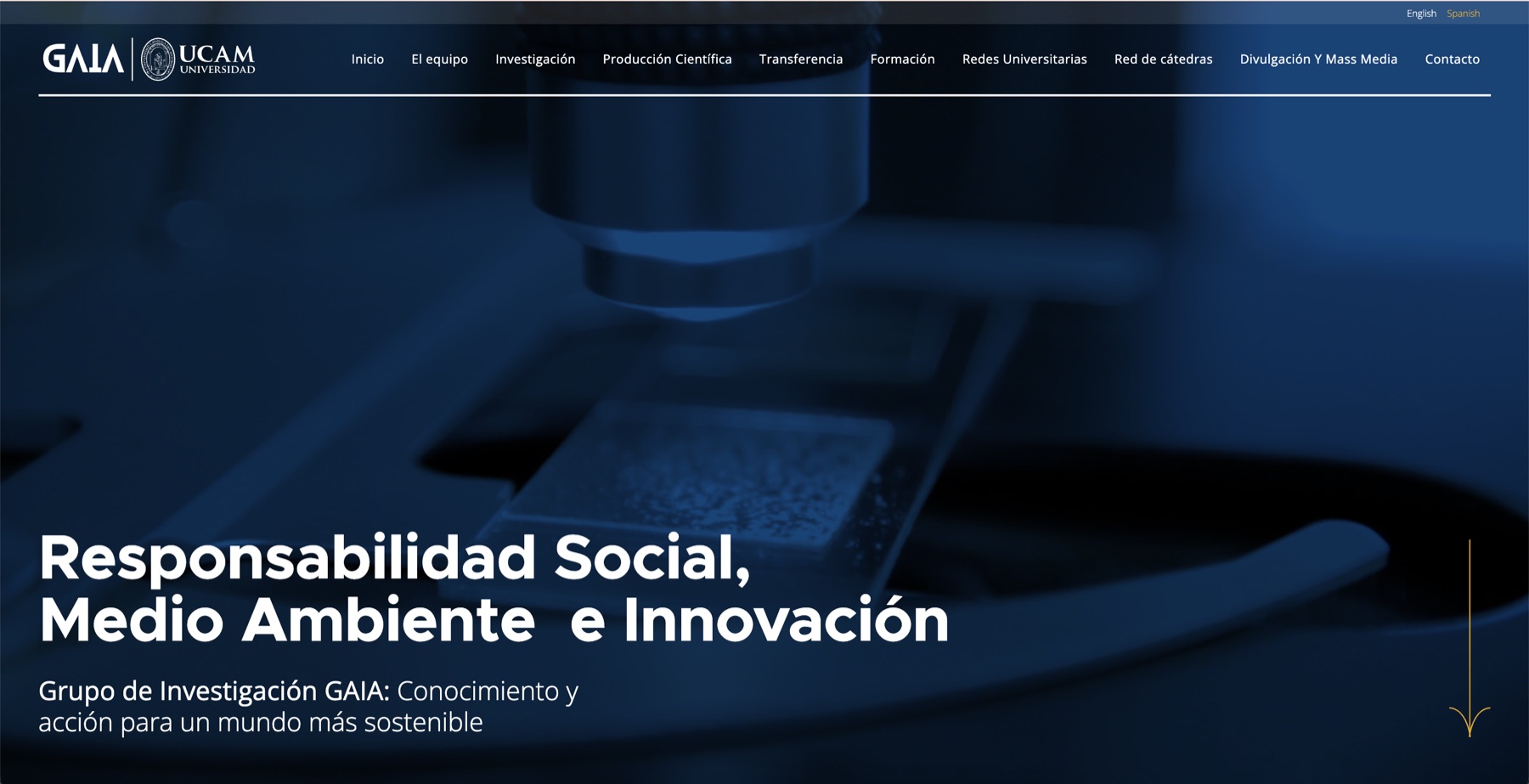 Proyecto de branding, redes sociales y diseño web