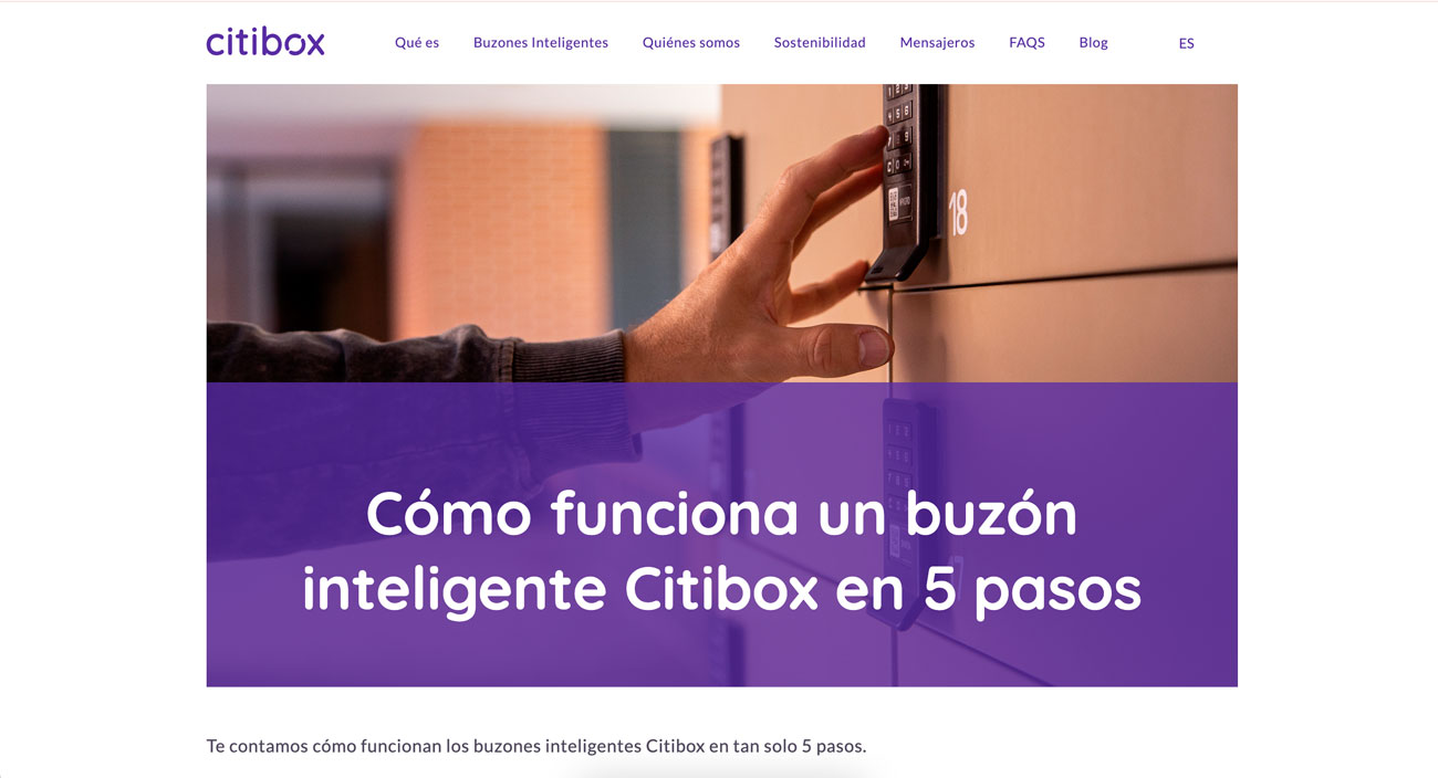 Proyecto de branding, redes sociales y diseño web
