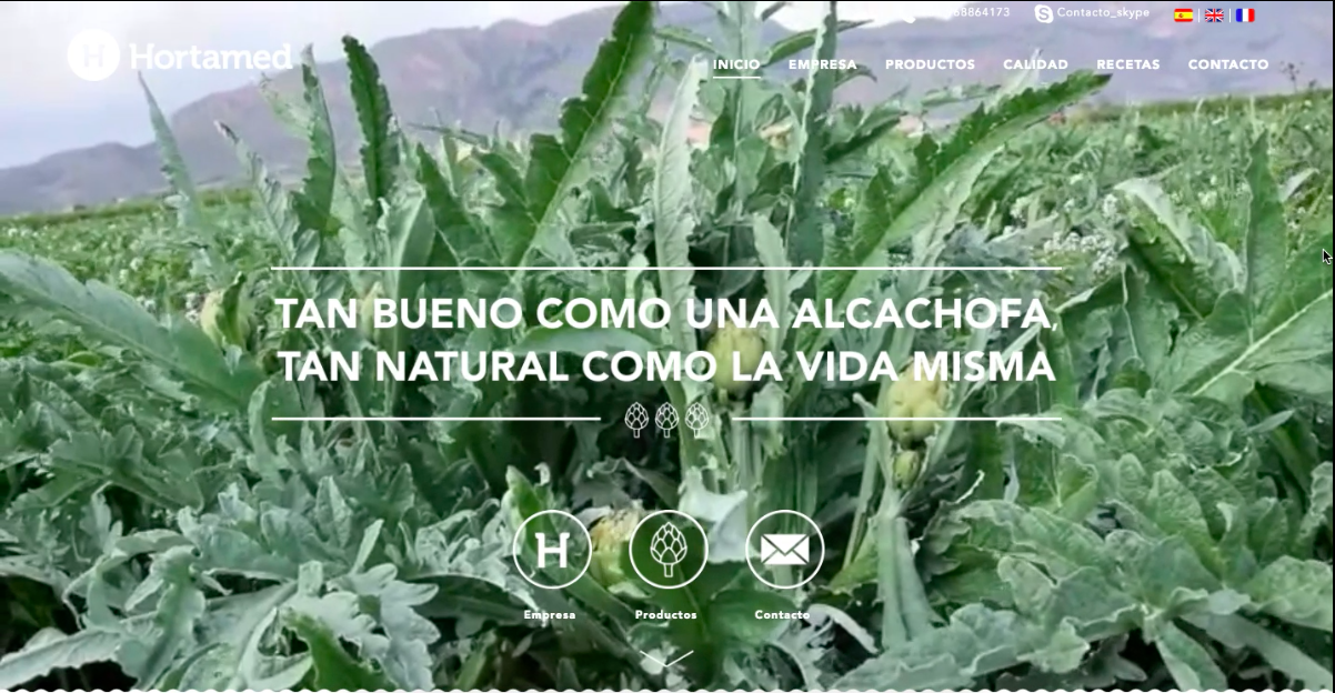 Estudio de Diseño de página web en Murcia y Madrid