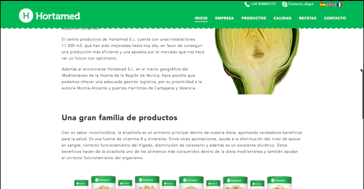 Diseño web a medida en Panamá | Nómadas Comunicación Creativa