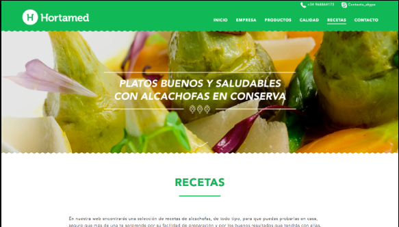 Agencia diseño web profesional en Madrid y Murcia | Nómadas Comunicación Creativa