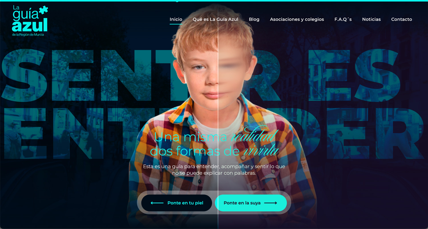 Estudio de Diseño de página web en Murcia y Madrid