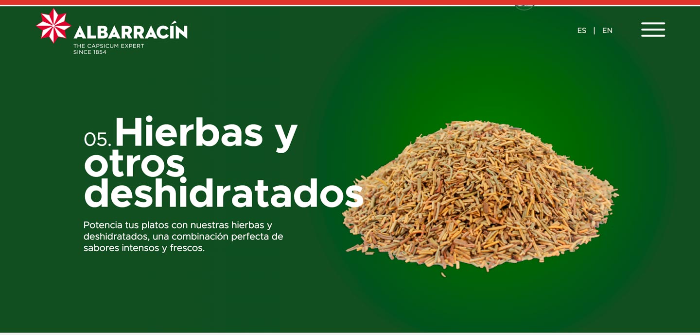 Estudio de Diseño de página web en Murcia y Madrid