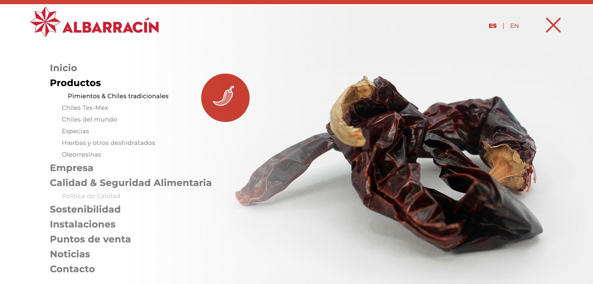 Agencia diseño web profesional en Madrid y Murcia | Nómadas Comunicación Creativa