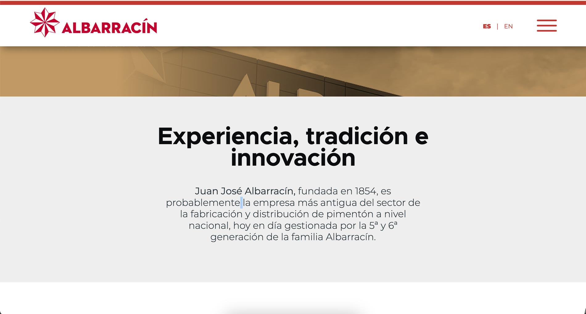 Proyecto de branding, redes sociales y diseño web