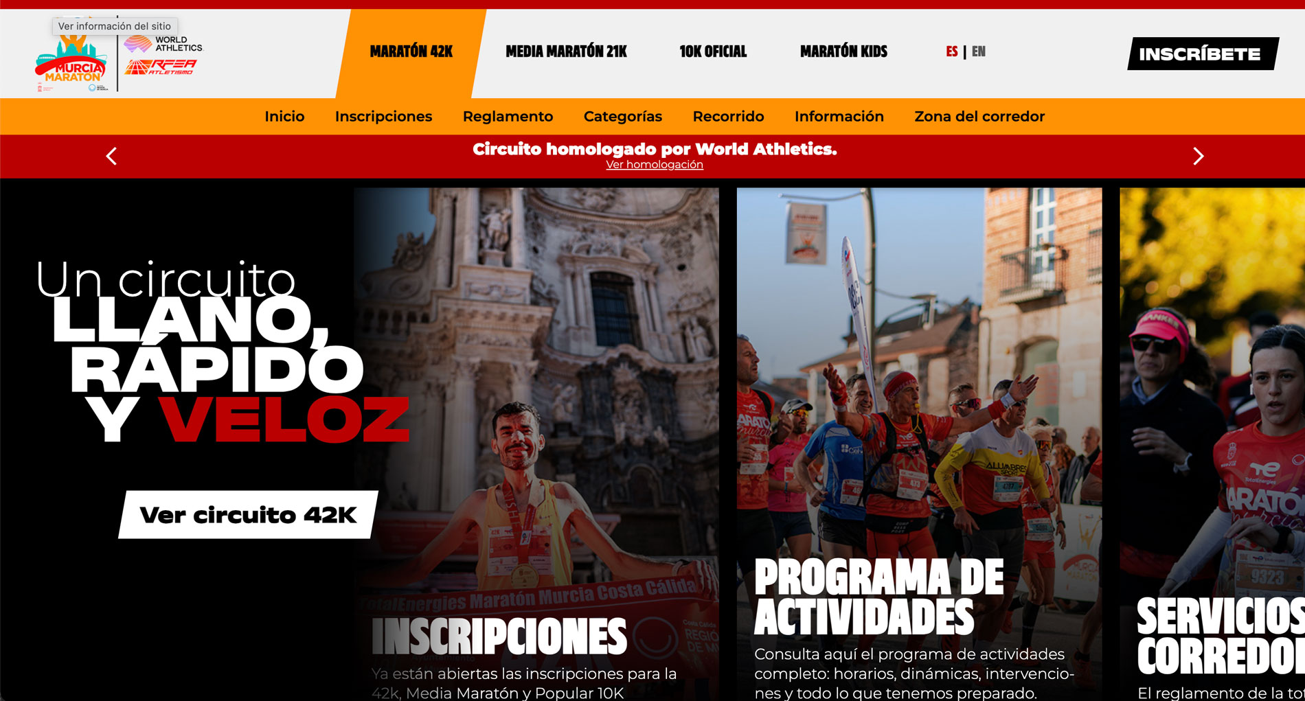 Diseño web a medida en Panamá | Nómadas Comunicación Creativa